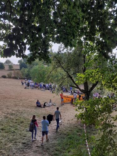 3C191D19-9CD5-4DC9-8174-3E0793601A0D